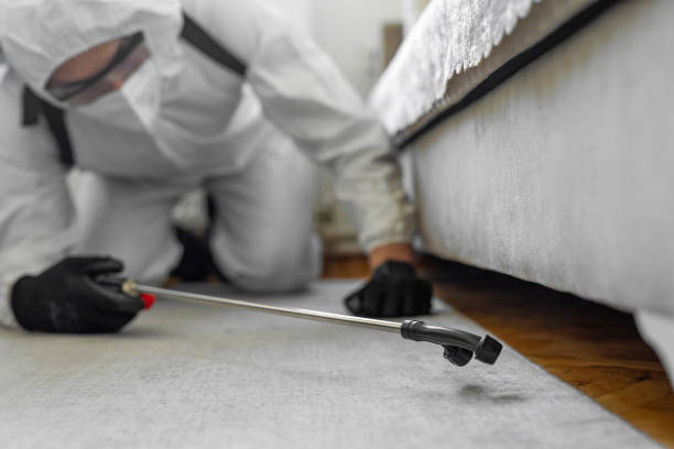 Professional Bed Bug Control technician working in New Palestine, IN