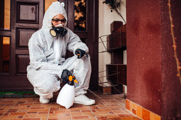 Reliable Bed Bug Control contractor in New Palestine, IN by Nex Pest Control