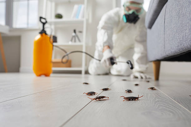 Trusted Cockroach Control service in New Palestine, IN - Nex Pest Control