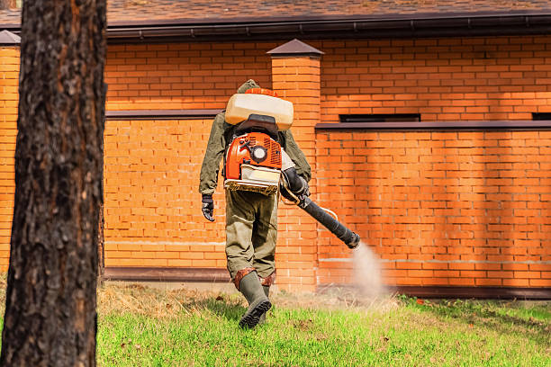 Trusted Bed Bug Control service in New Palestine, IN - Nex Pest Control